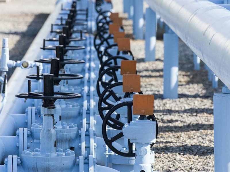 1687517404144849.jpg 1687517404144849.jpg