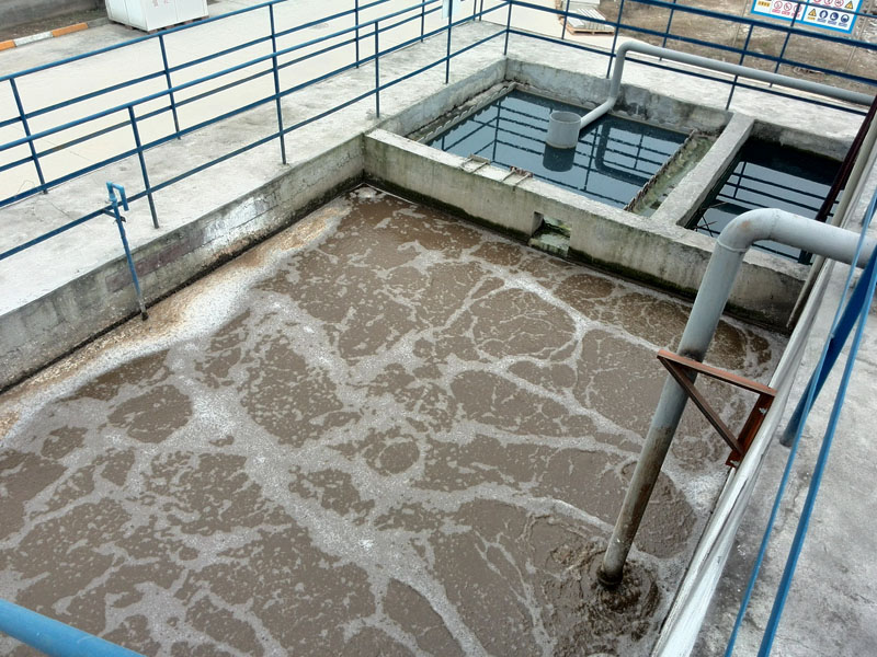 1687518977128770.jpg 1687518977128770.jpg